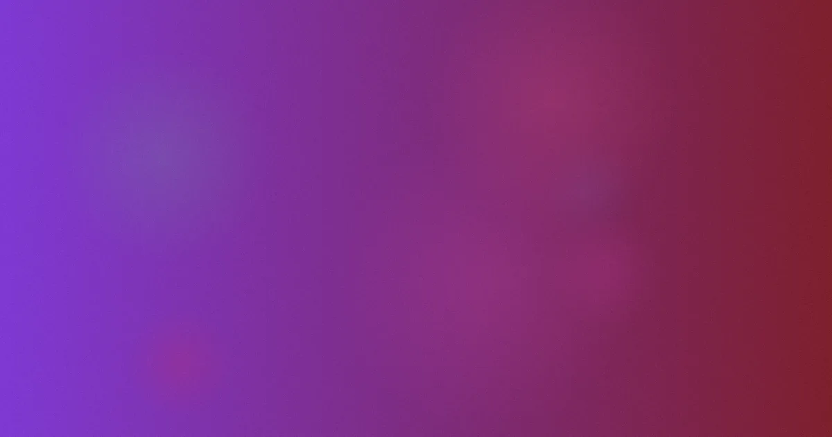 黑吃黑第四季避坑指南